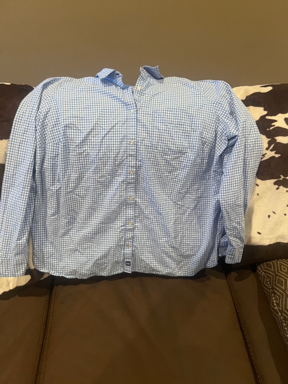 Blue Gingham Button-Down Shirt